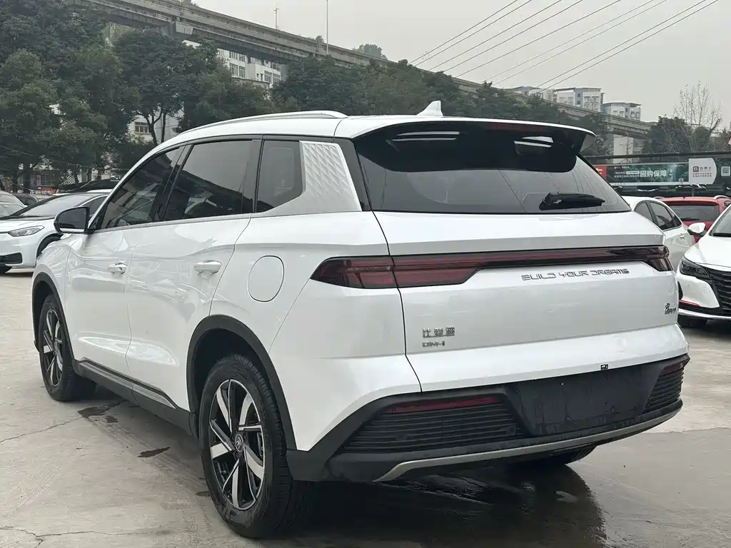BYD SONGJIANG NEW ENERGY