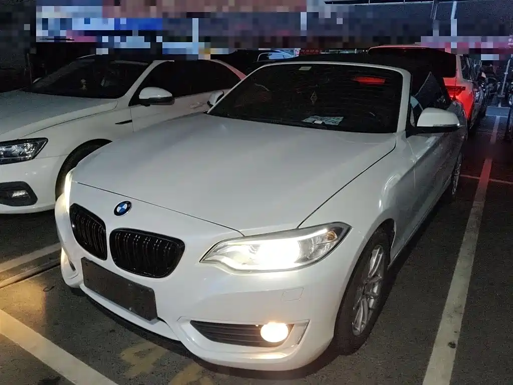 BMW 2 Series (Import) 2016