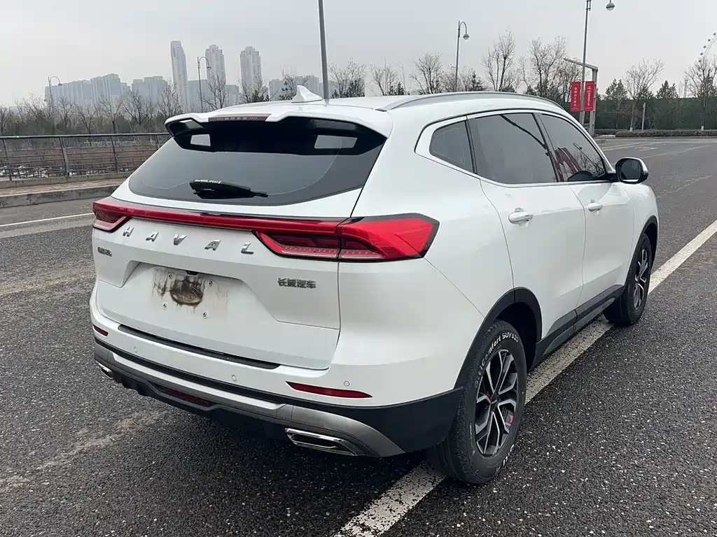 HAVAL H6
