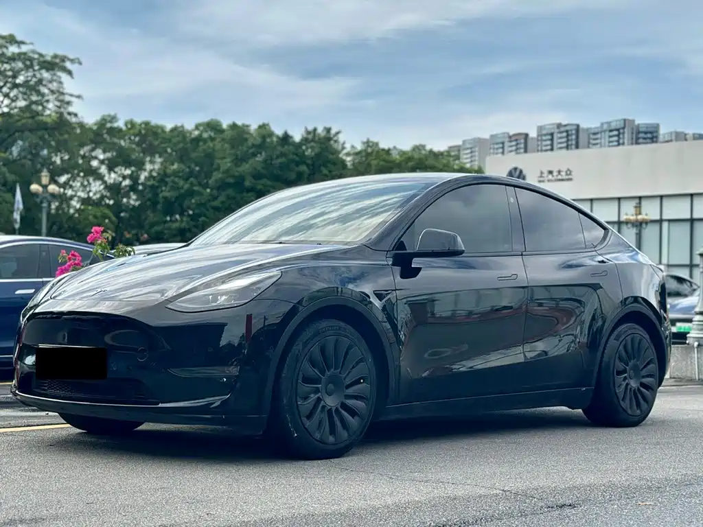Tesla Model Y — миниатюра 2