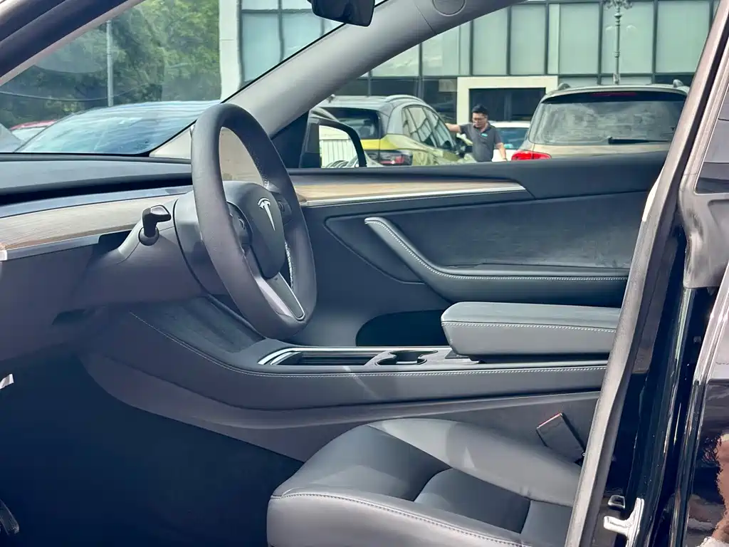 Tesla Model Y — миниатюра 15
