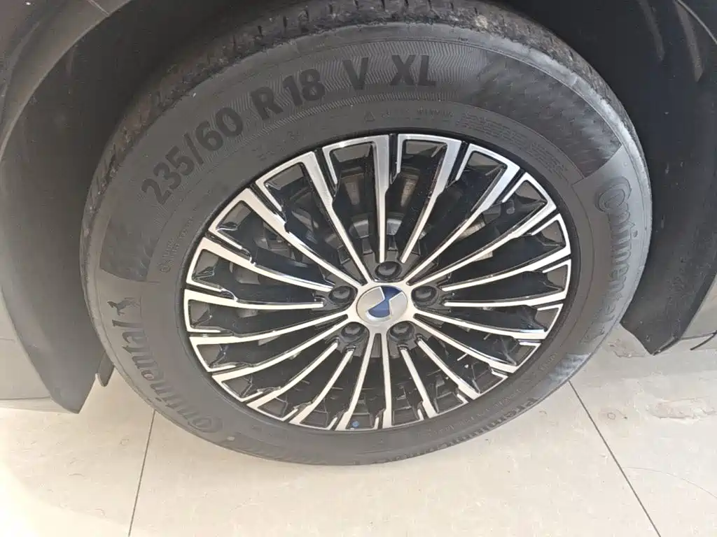 Denza Denza D9 — миниатюра 23