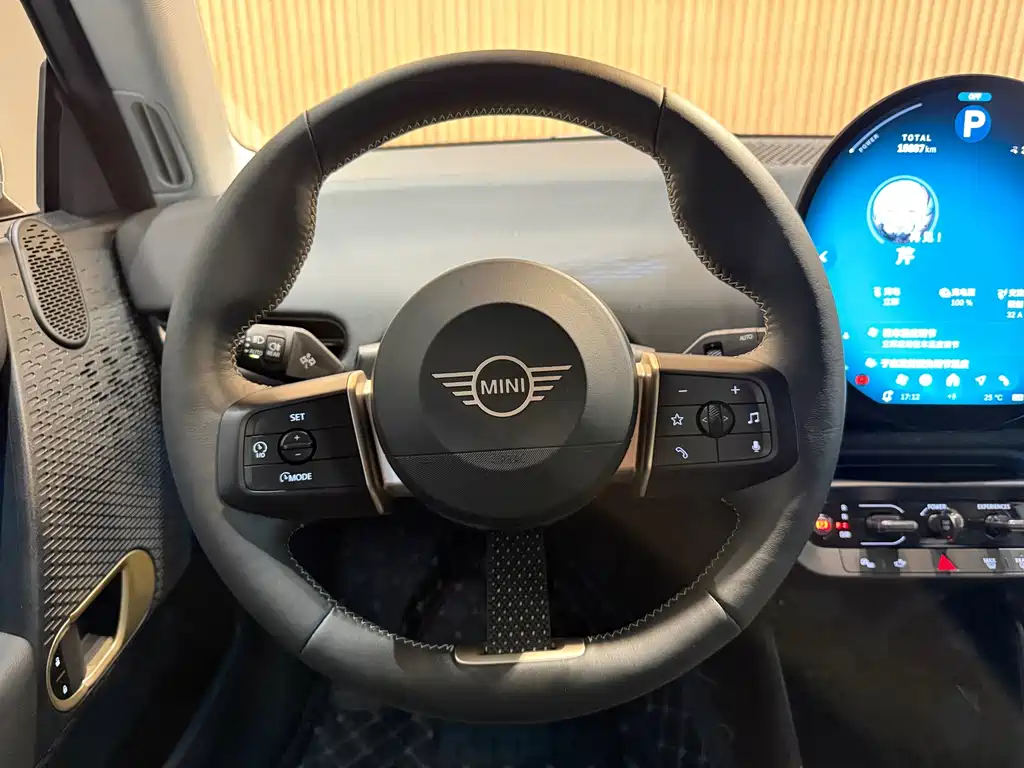 MINI MINI ACEMAN EV — миниатюра 8