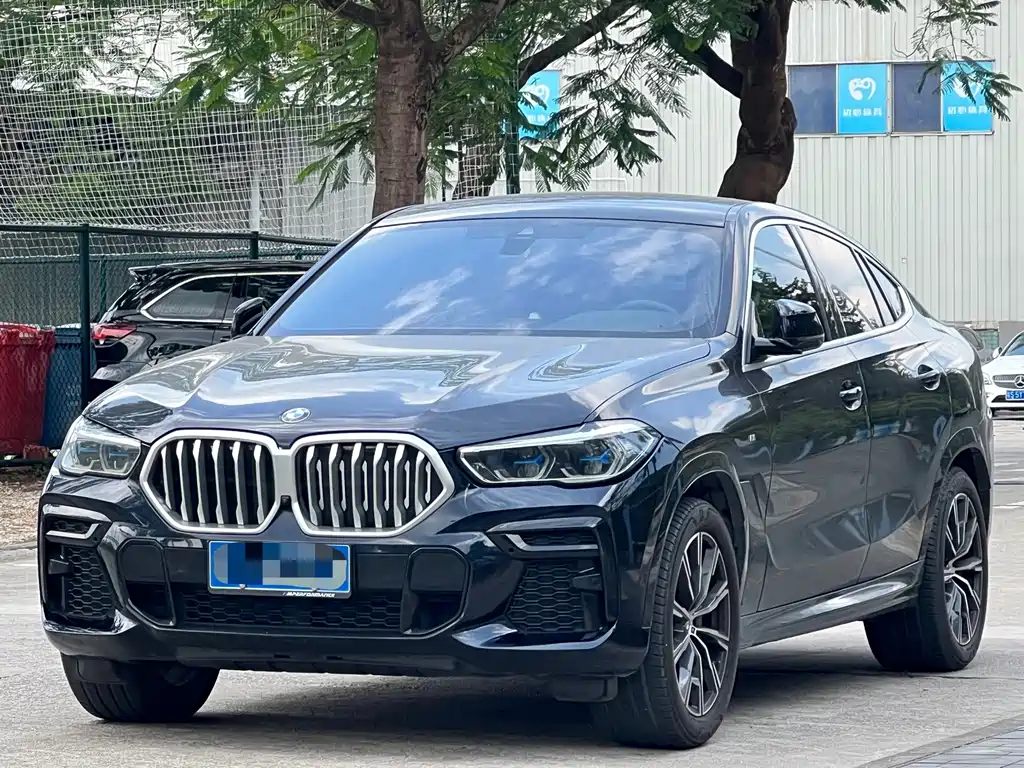 BMW X6