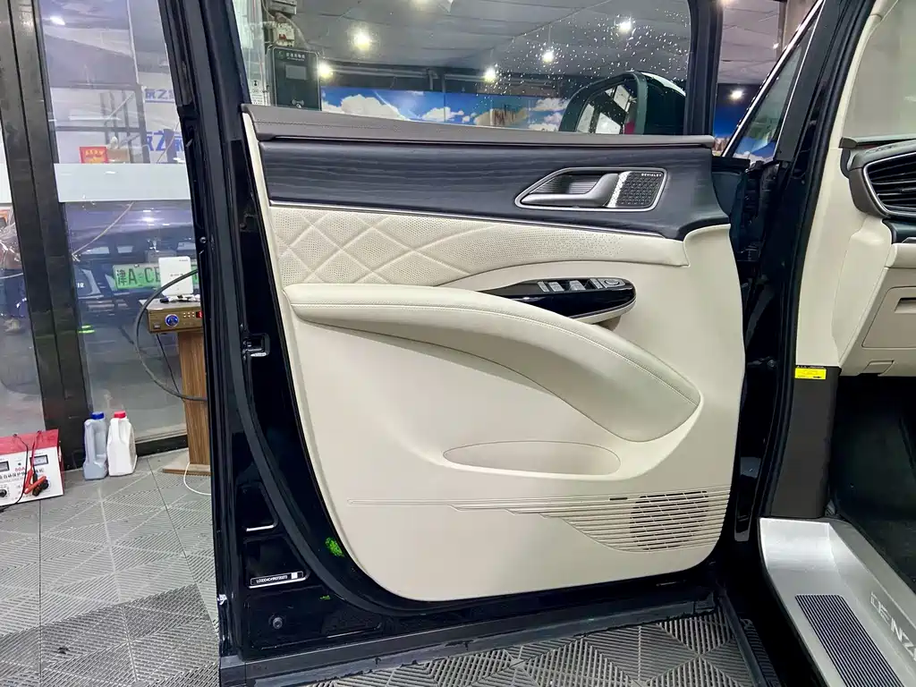 Denza Denza D9 — миниатюра 8