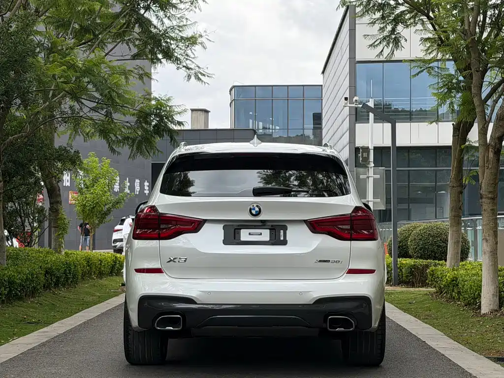 BMW X3 2020 xDrive30i Lead M Sport