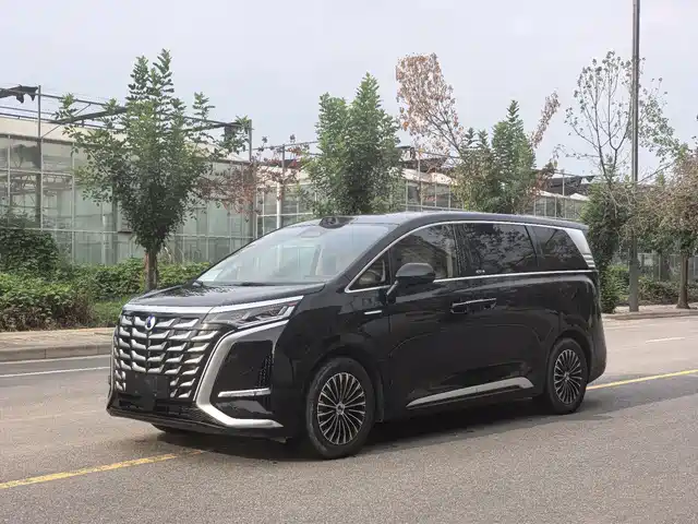 2025 Denza D9