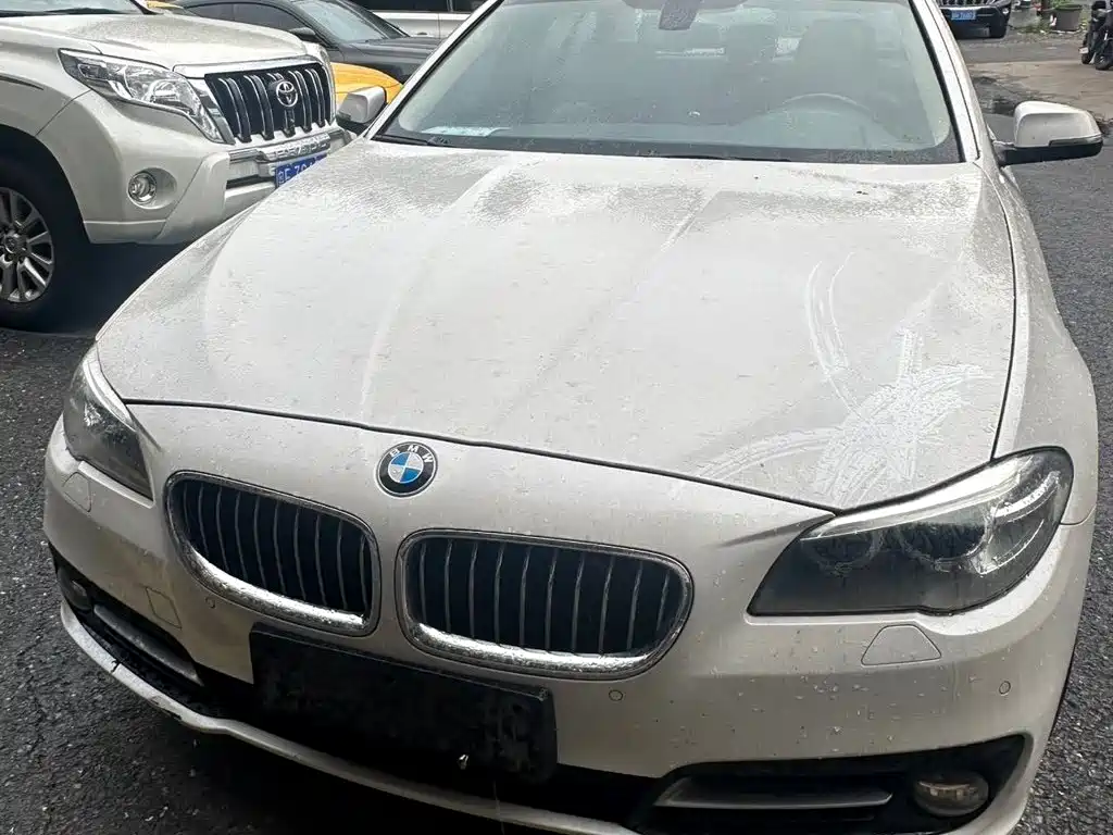 BMW 5 Series 5 2013 525Li Lead