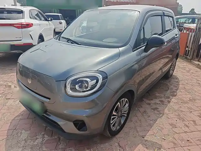 2021 Leapmotor T03