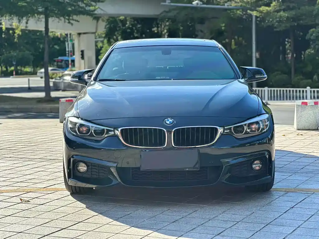 BMW 4 Series — миниатюра 2