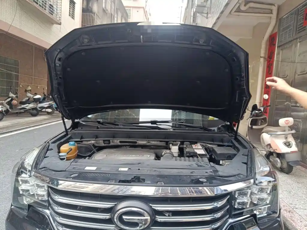 GAC Motor Trumpchi GS8 — миниатюра 11