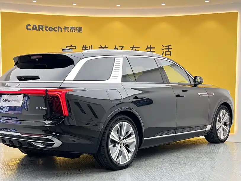 Hongqi Hongqi E-HS9 — миниатюра 4
