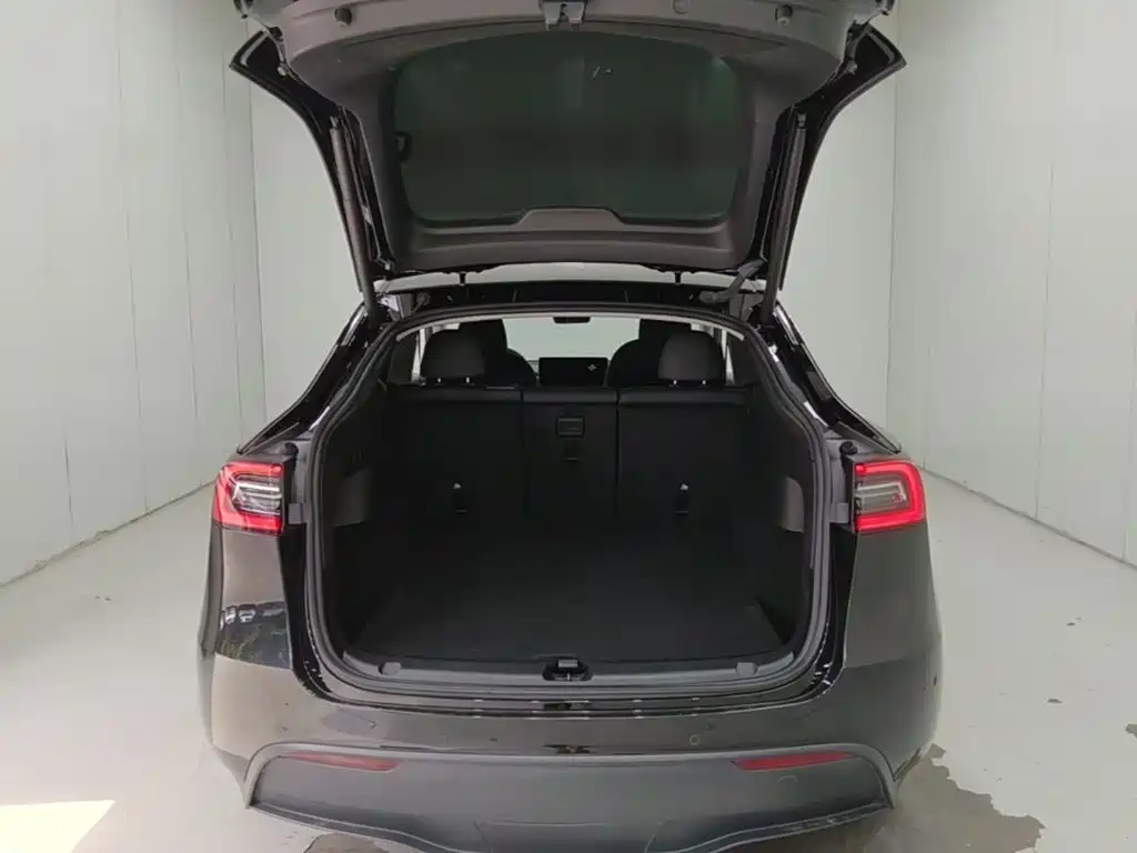 Tesla Model Y — фотографии объявления, Фото 19