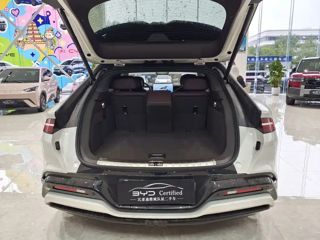 Denza Denza Z9GT — миниатюра 12