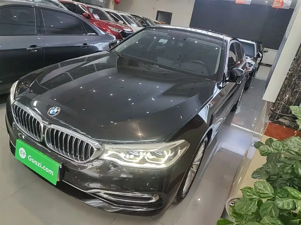 BMW 5 Series 5 2019 530Li Premium Luxury