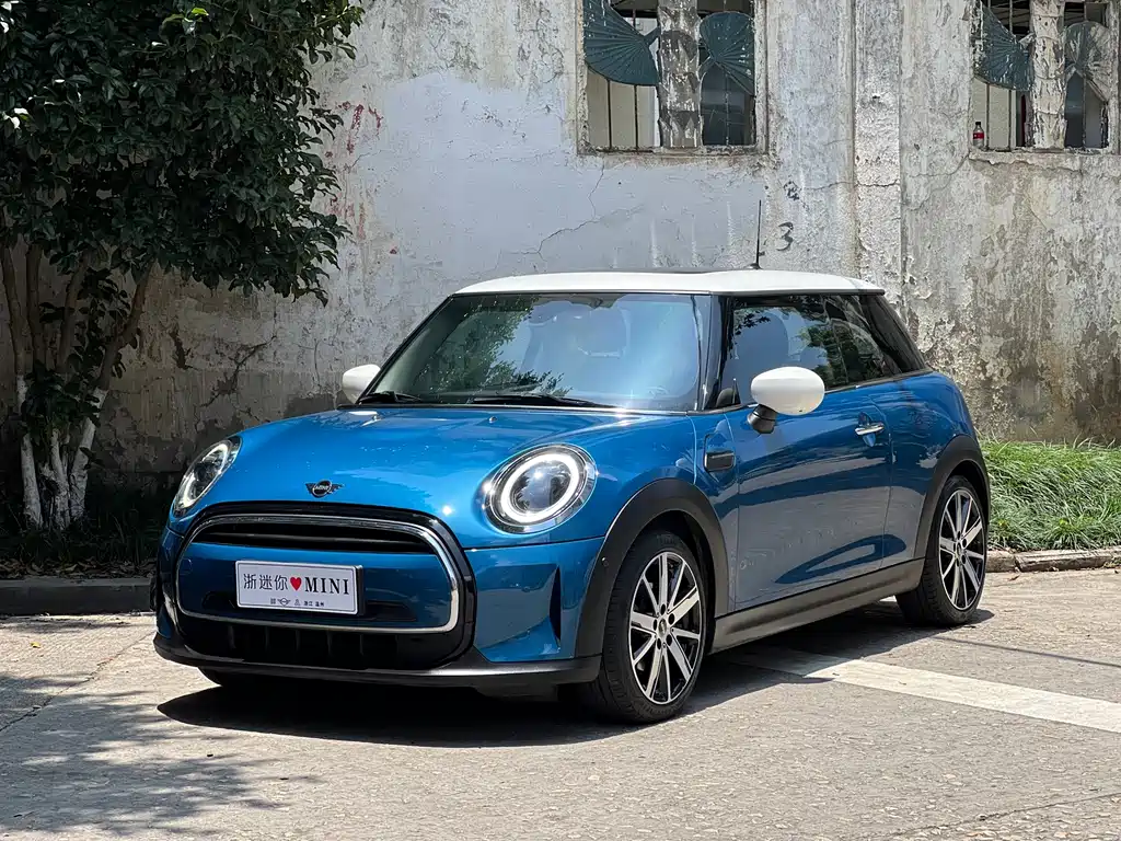 Mini Mini 2022