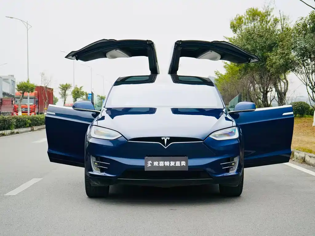 TESLA MODEL X