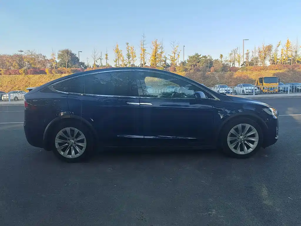 Tesla Model X — миниатюра 5