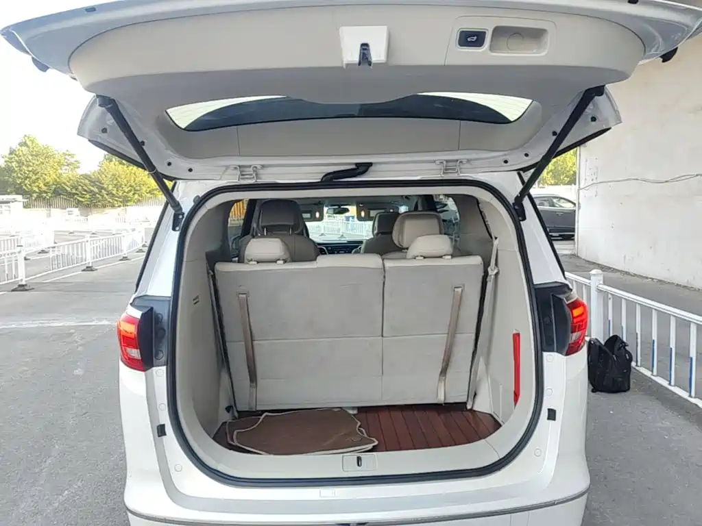 Buick GL8 — миниатюра 19