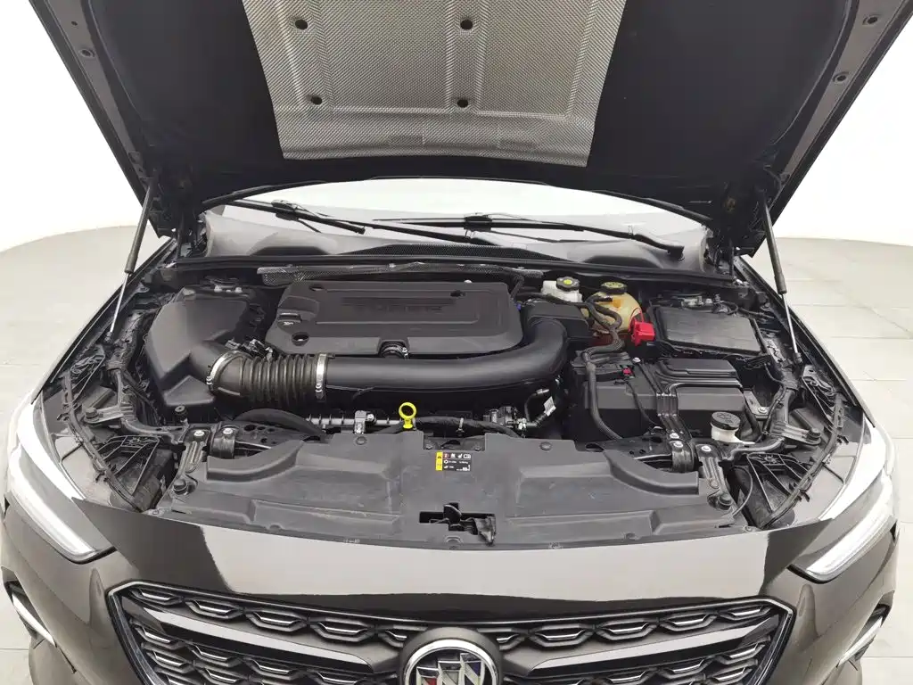 Buick Regal — миниатюра 6