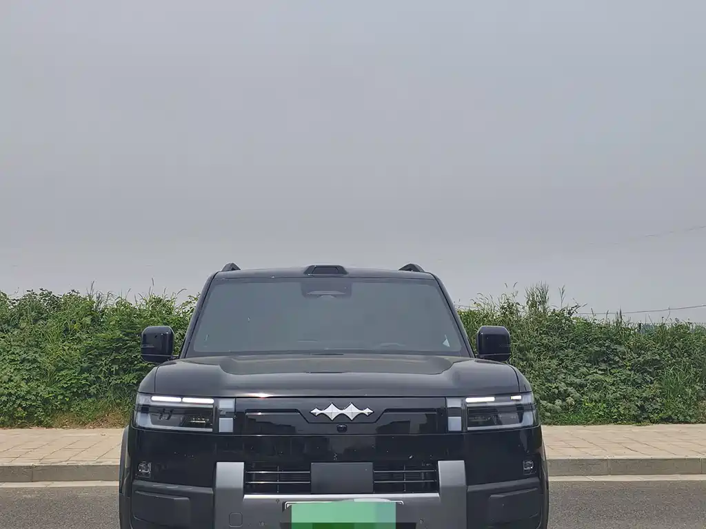 Fangchengbao Leopard 7 7 2025 190KM Ultra