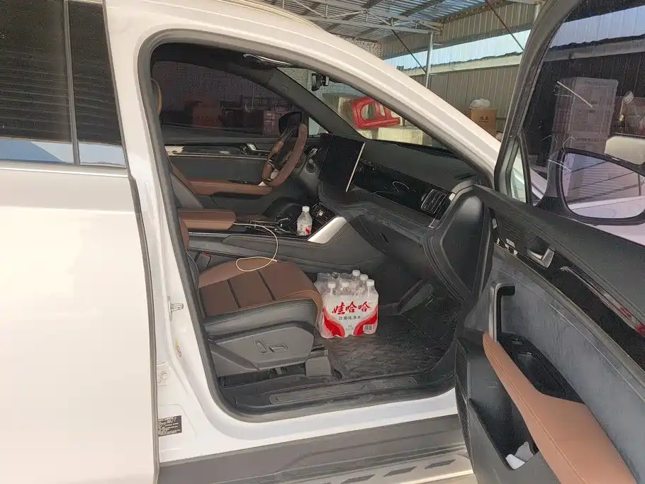 BYD Tang New Energy — миниатюра 8