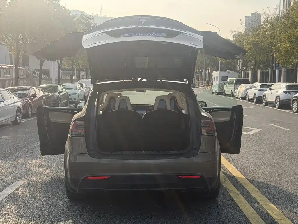 TESLA MODEL X