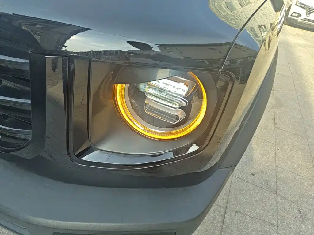 Haval Big Dog — миниатюра 24