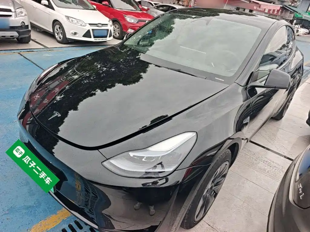 Tesla Model Y — миниатюра 2