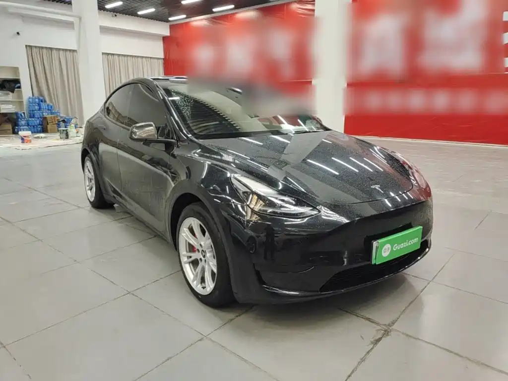 Tesla Model Y — миниатюра 4