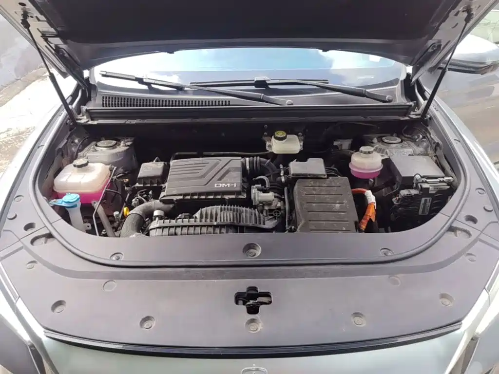 BYD Pro New Energy — миниатюра 20