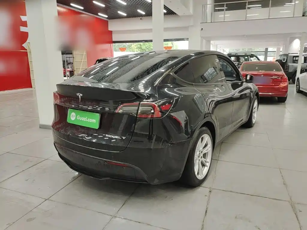 Tesla Model Y — миниатюра 7