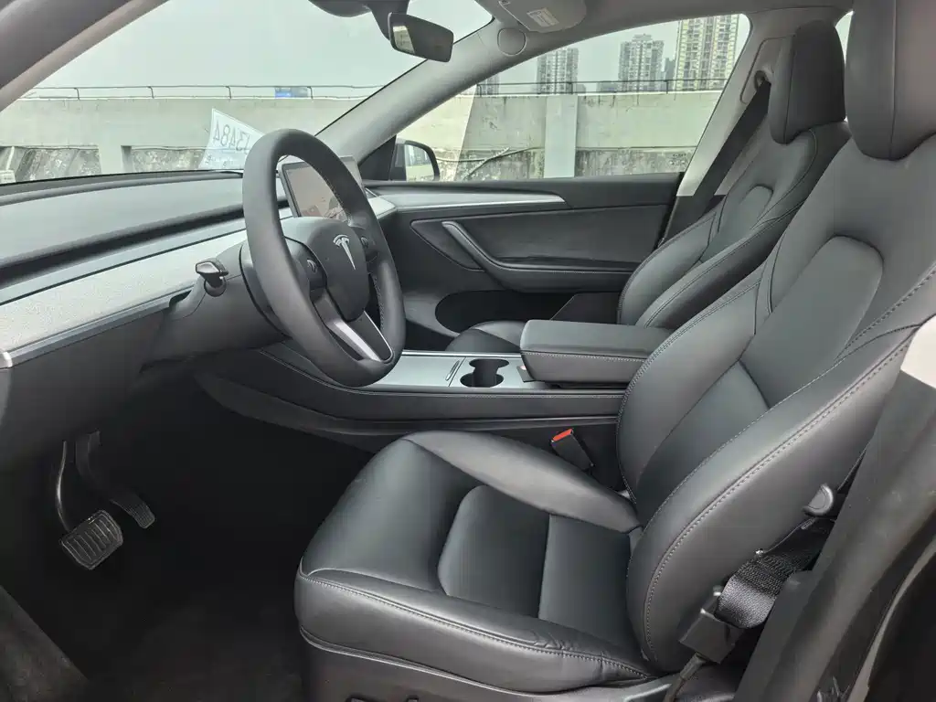 Tesla Model Y — миниатюра 8
