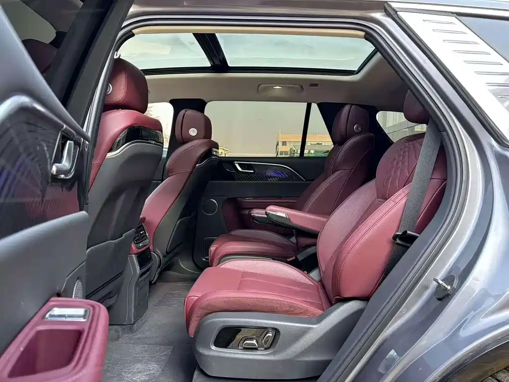 Hongqi Hongqi E-HS9 — миниатюра 5