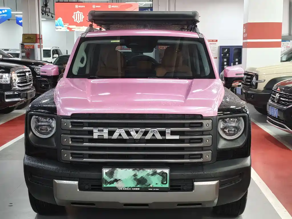 Haval Menglong New Energy — миниатюра 2