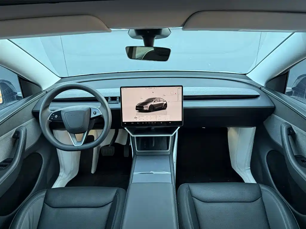 Tesla Model Y — миниатюра 28