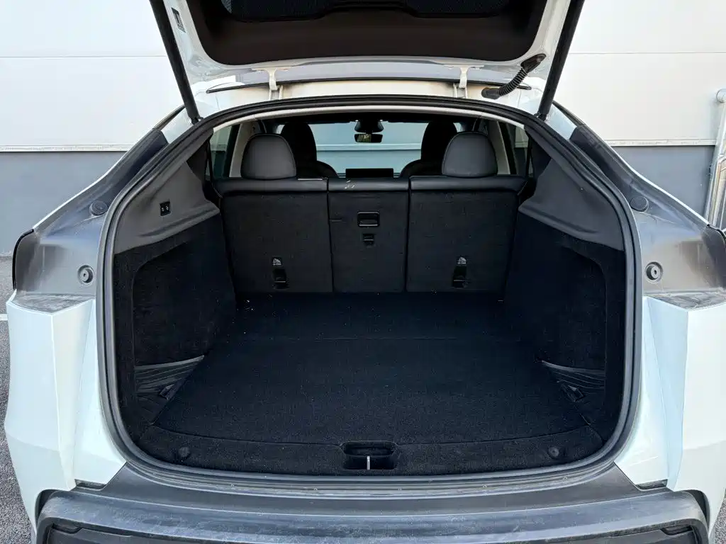 Tesla Model Y — миниатюра 20