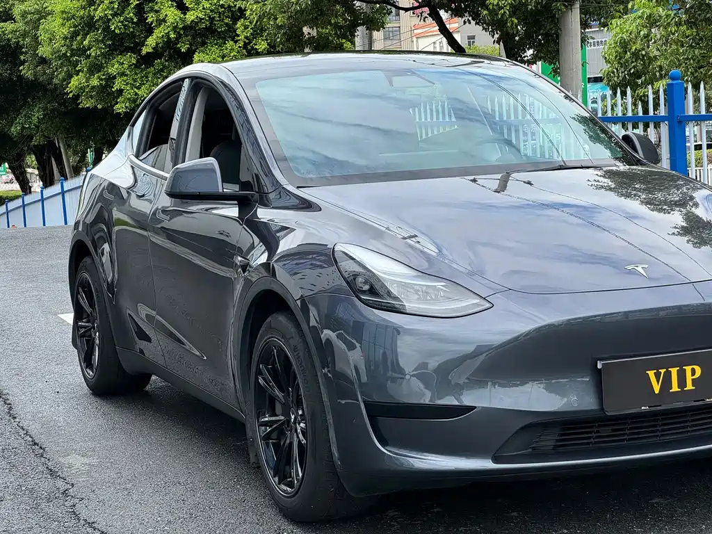 Tesla Model Y — миниатюра 15