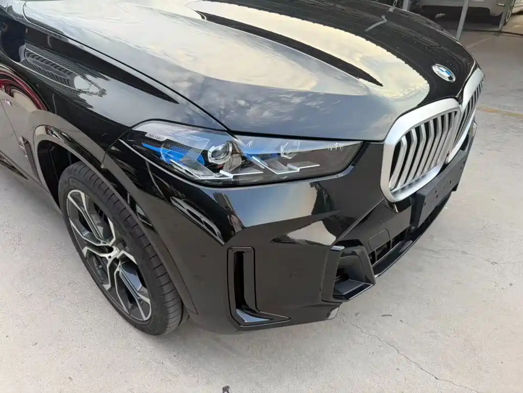 BMW X5 — миниатюра 26