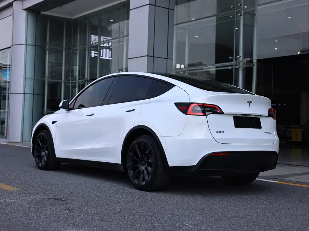 Tesla Model Y — миниатюра 6