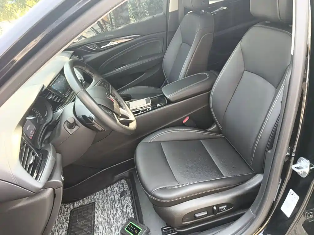 Buick Regal — миниатюра 15