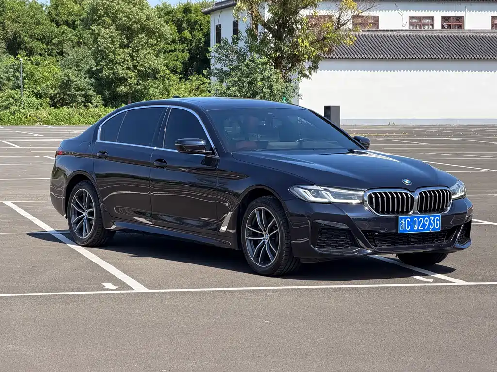 BMW 5 Series — миниатюра 3
