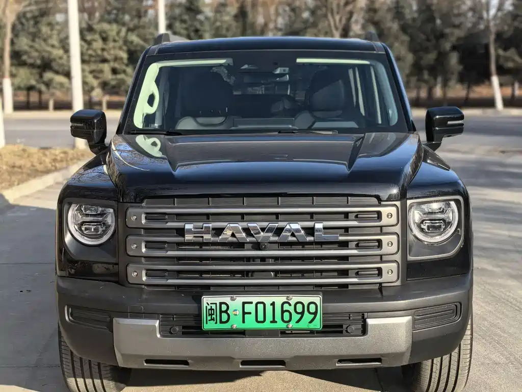 HAVAL RAPTORS NEW ENERGY