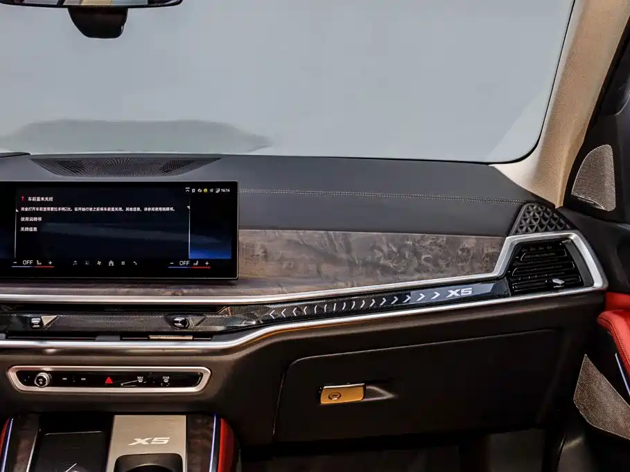 BMW X5 — миниатюра 32