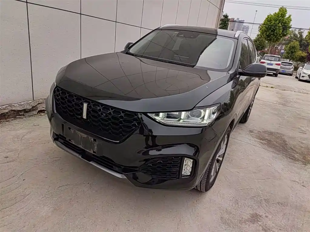 Wey Wey VV6 2019