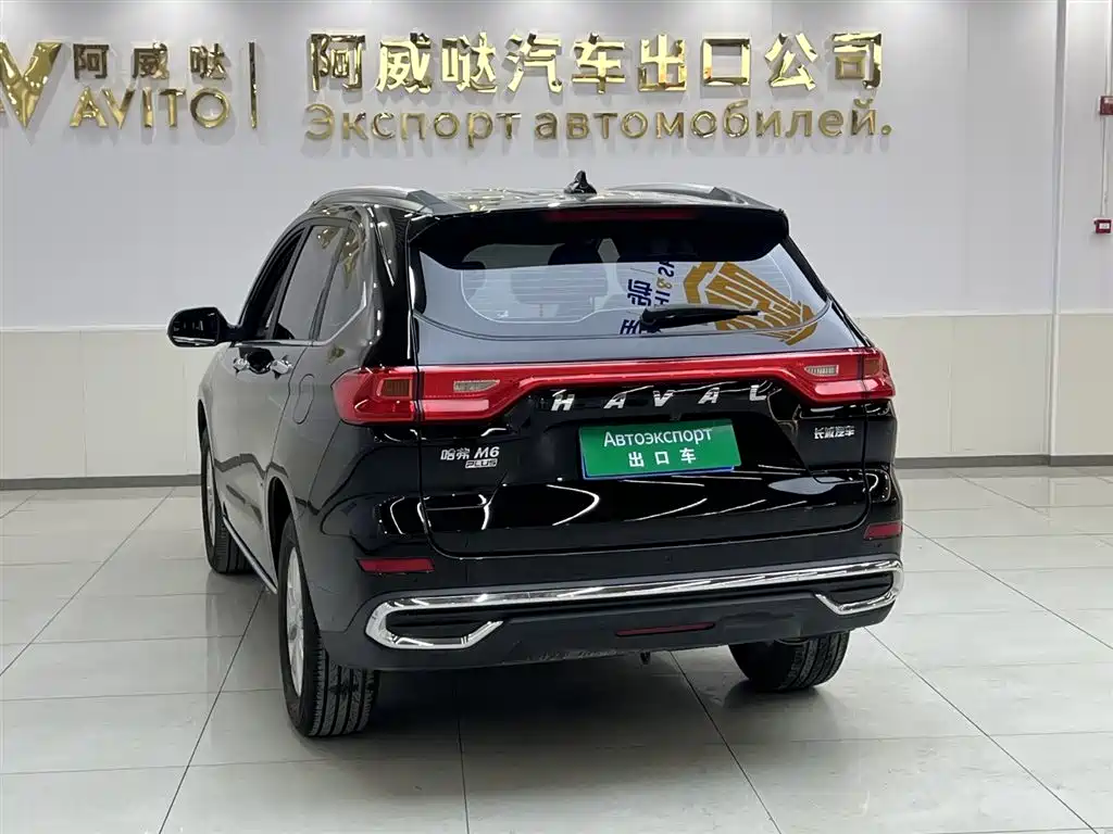 HAVAL M6