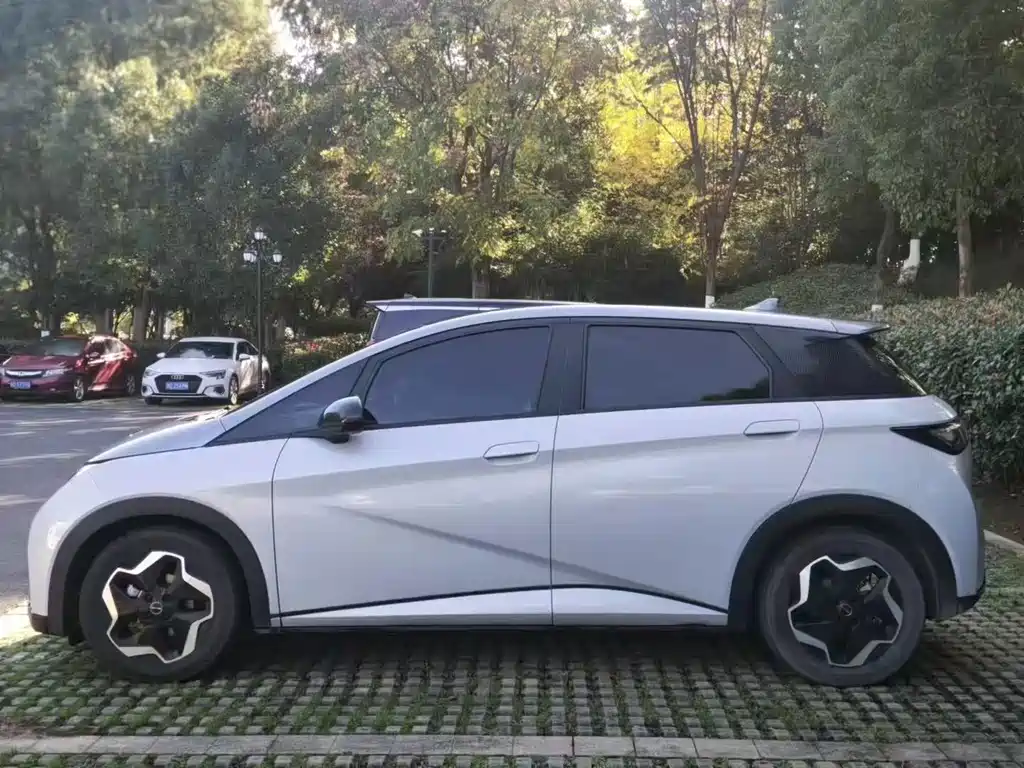 BYD Dolphin — миниатюра 3