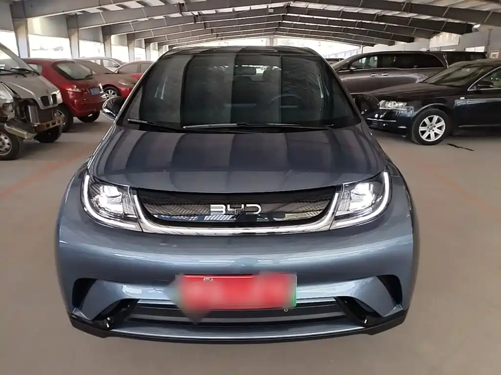 BYD Dolphin — миниатюра 3