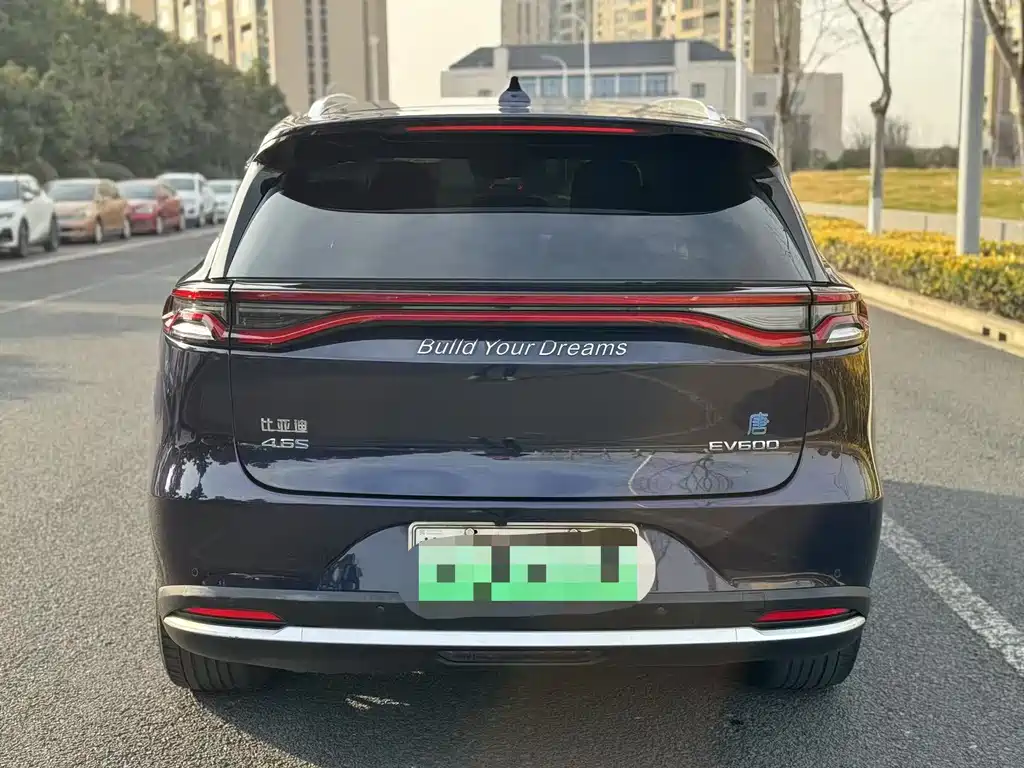BYD TANGXIN ENERGY
