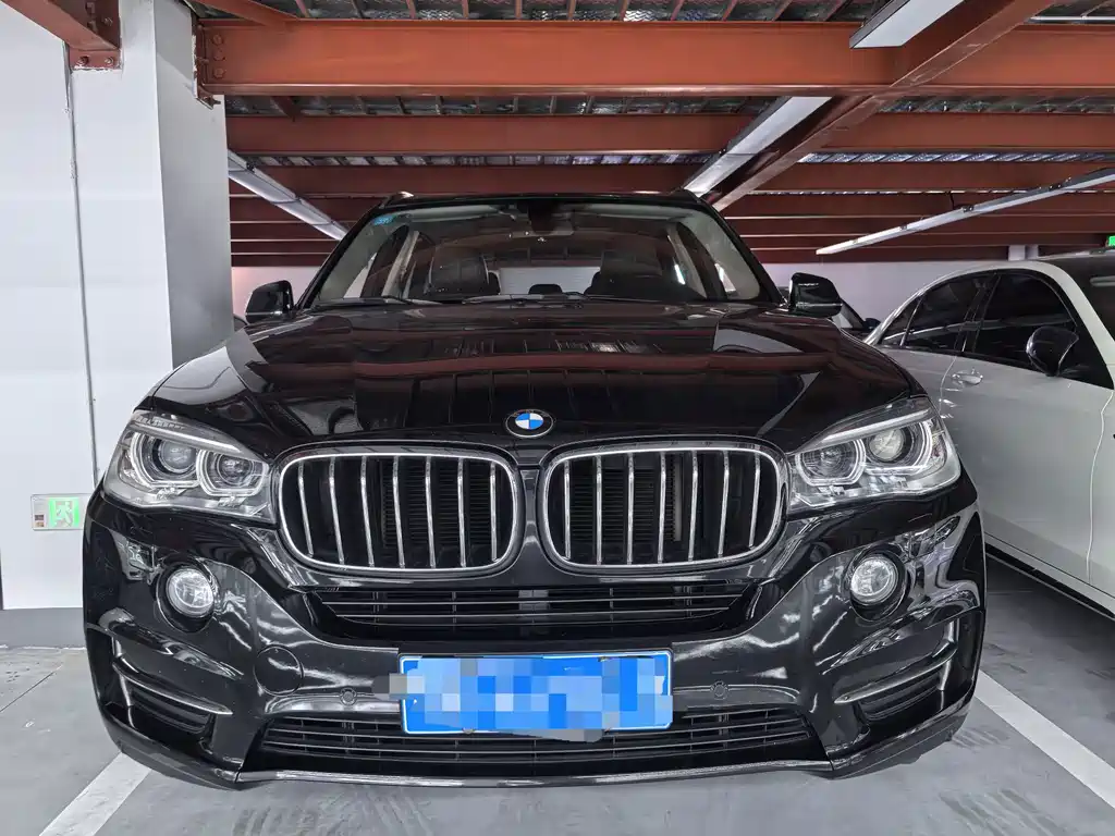 BMW X5 (Import) — миниатюра 2